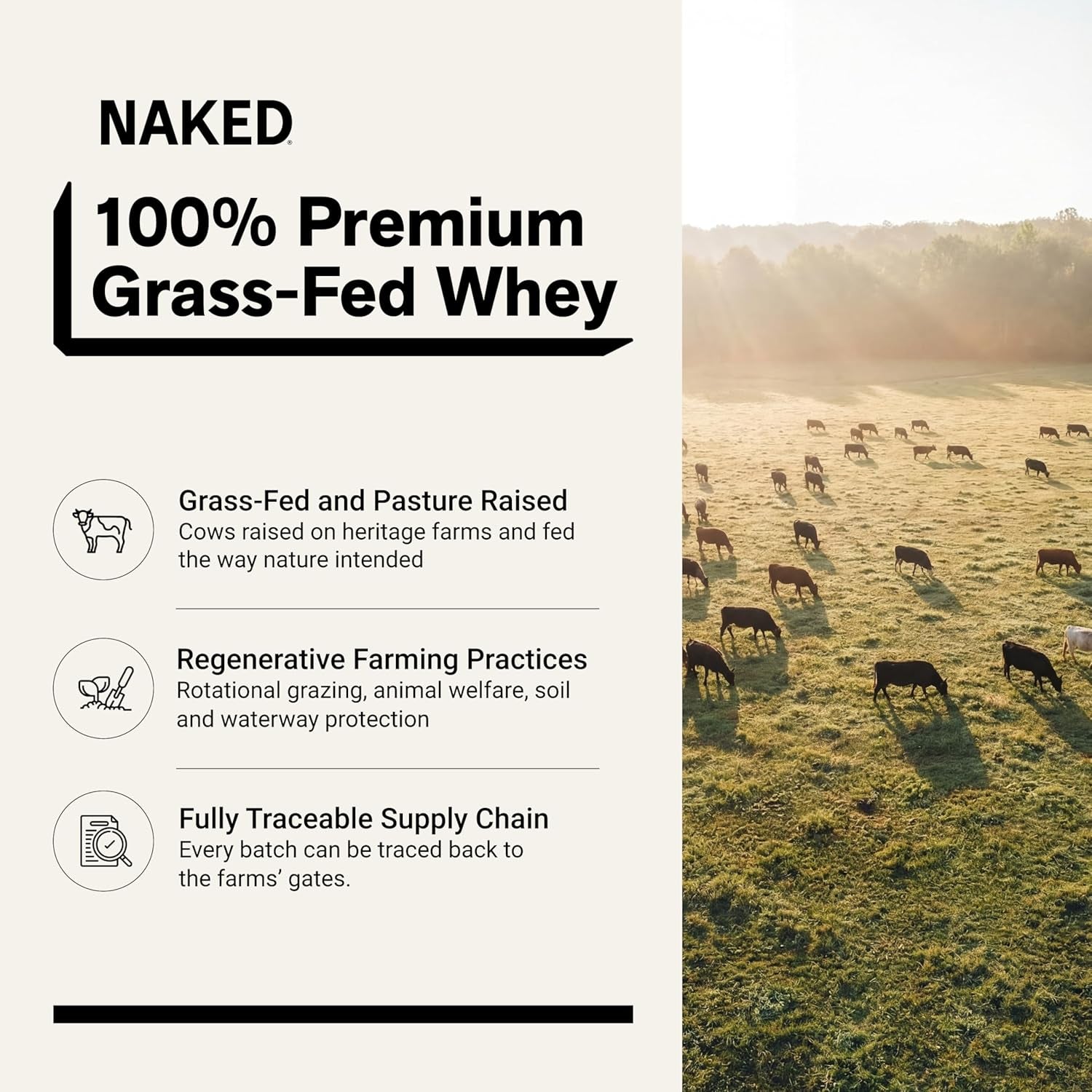Whey 5LB 100% Grass Fed Unflavored Whey Protein Powder - Only 1 Ingredient, NSF Certified, Undenatured, Gluten Free, Soy Free, Promote Muscle Growth and Recovery - 76 Servings